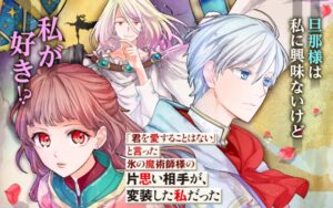 「君を愛することはない」と言った氷の魔術師様の片思い相手が、変装した私だった